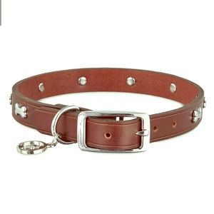 Bond & Co. Brown Leather Bone Stud Dog Collar